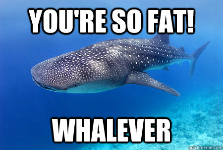 You're SO FAT! Whalever - You're SO FAT! Whalever  Good Guy Whale Shark