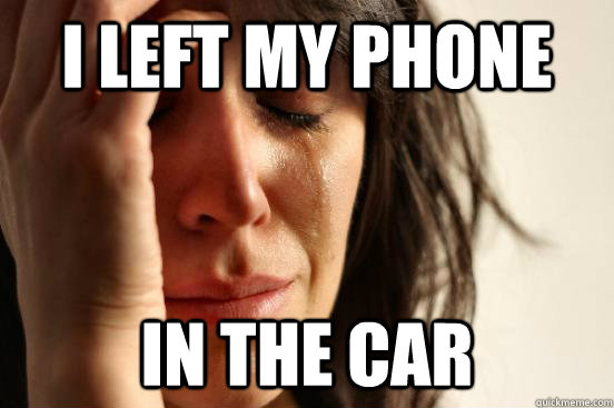 I left my phone in the car  First World Problems