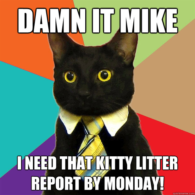 Damn it mike  I need that kitty litter report by monday!  Business Cat