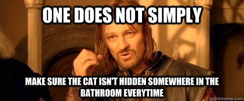 One does not simply make sure the cat isn't hidden somewhere in the bathroom everytime  One Does Not Simply