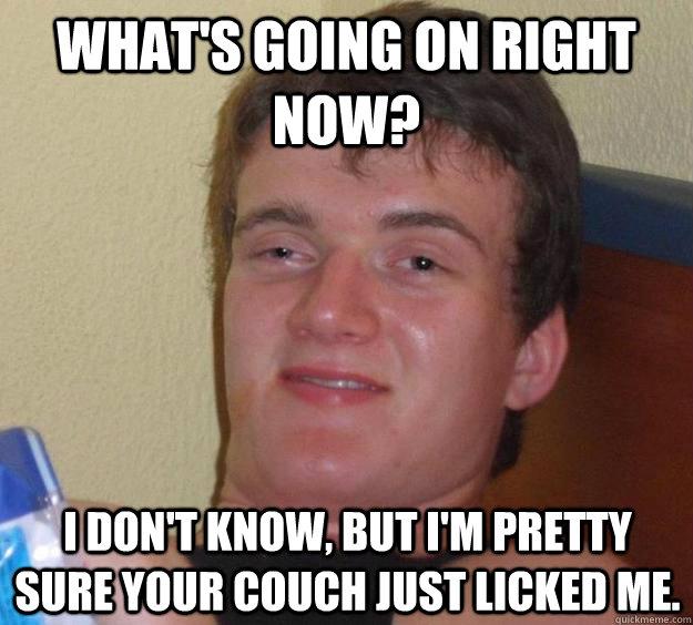 What's going on right now? I don't know, but I'm pretty sure your couch just licked me.  10 Guy