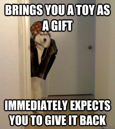 BRINGS YOU A TOY AS A GIFT IMMEDIATELY EXPECTS YOU TO GIVE IT BACK  Scumbag dog