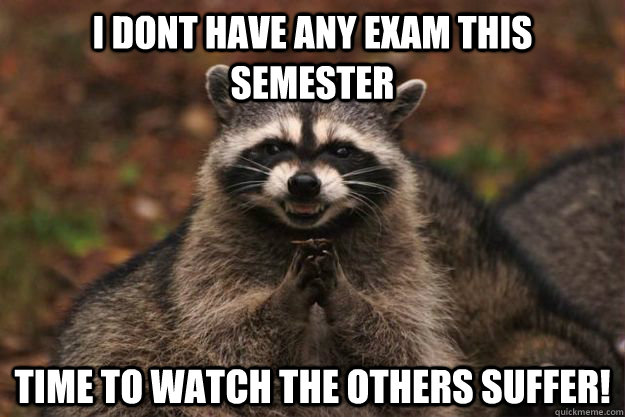 i dont have any exam this semester time to watch the others suffer!  Evil Plotting Raccoon