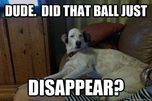 Dude.  Did that ball just disappear?  10 Dog