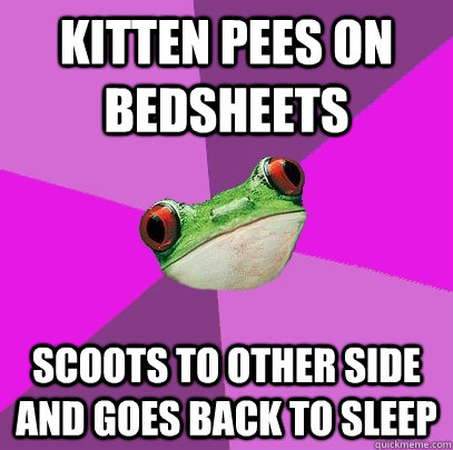 Kitten pees on bedsheets scoots to other side and goes back to sleep  Foul Bachelorette Frog