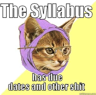 THE SYLLABUS  HAS DUE DATES AND OTHER SHIT  Hipster Kitty