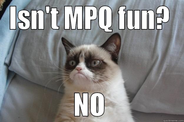 ISN'T MPQ FUN? NO Grumpy Cat