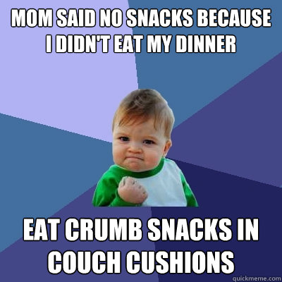 Mom said no snacks because I didn't eat my dinner Eat crumb snacks in couch cushions  Success Kid