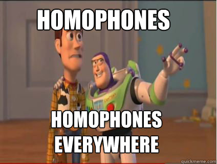 homophones homophones everywhere  woody and buzz