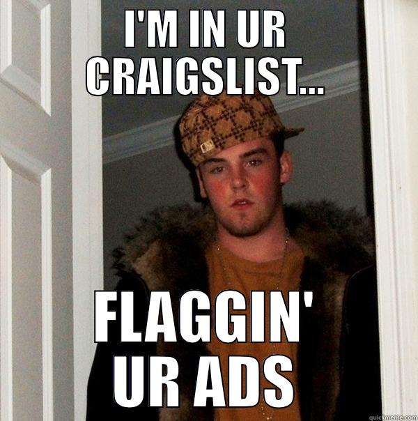 I'M IN UR CRAIGSLIST... FLAGGIN' UR ADS Scumbag Steve