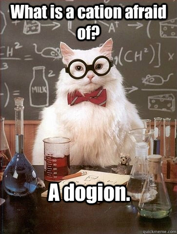 What is a cation afraid of? A dogion.  Chemistry Cat