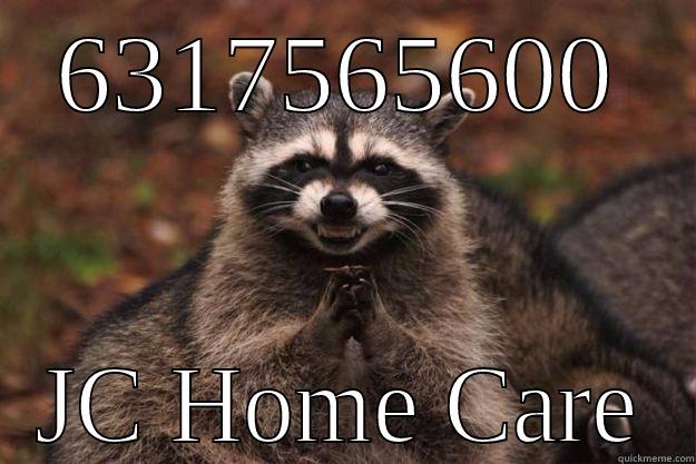 6317565600 JC HOME CARE Evil Plotting Raccoon