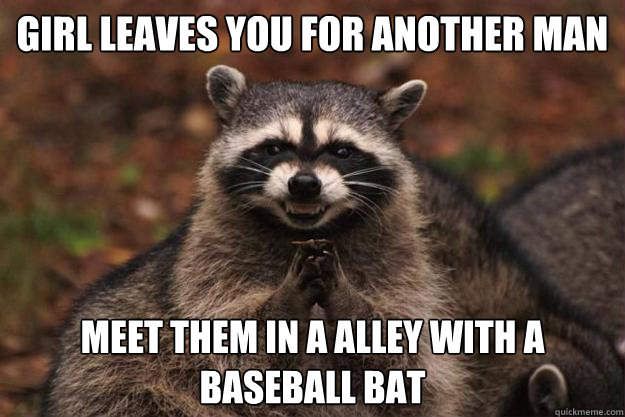 girl leaves you for another man meet them in a alley with a baseball bat - girl leaves you for another man meet them in a alley with a baseball bat  Evil Plotting Raccoon