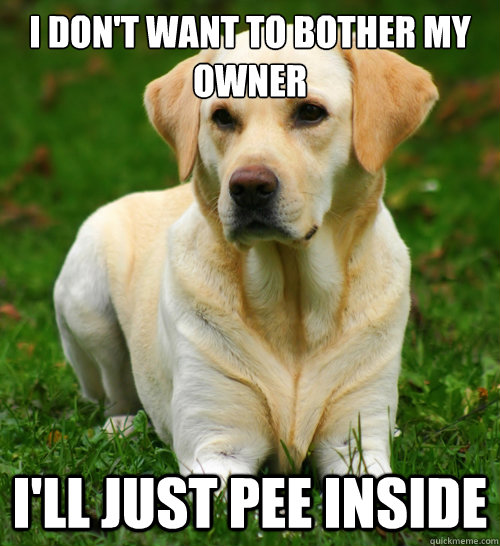 i don't want to bother my owner i'll just pee inside  Dog Logic