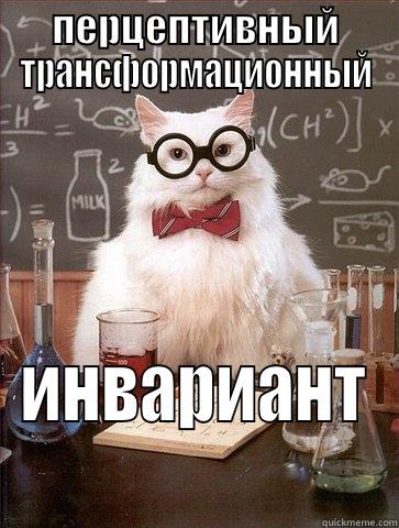 ПЕРЦЕПТИВНЫЙ ТРАНСФОРМАЦИОННЫЙ ИНВАРИАНТ Chemistry Cat