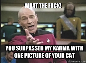 What the fuck! you surpassed my karma with one picture of your cat  Annoyed Picard