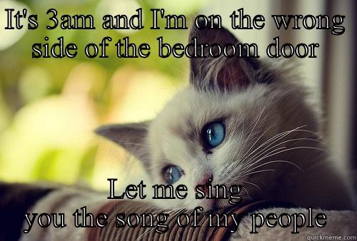 IT'S 3AM AND I'M ON THE WRONG SIDE OF THE BEDROOM DOOR LET ME SING YOU THE SONG OF MY PEOPLE First World Problems Cat