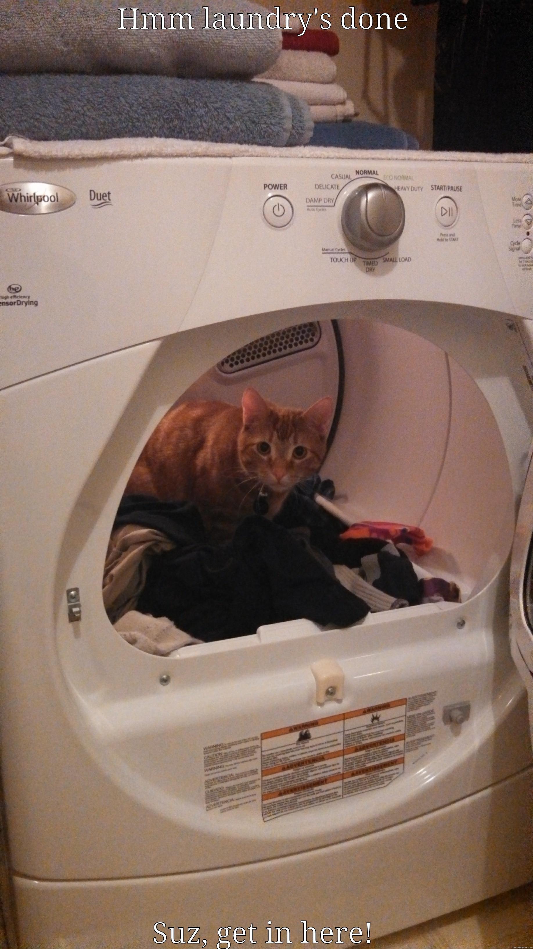 HMM LAUNDRY'S DONE SUZ, GET IN HERE! Misc