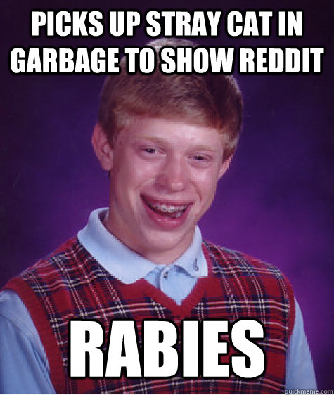 picks up stray cat in garbage to show reddit rabies  Bad Luck Brian