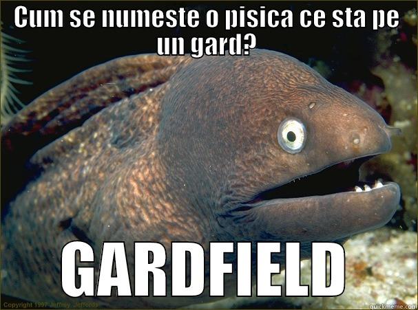 CUM SE NUMESTE O PISICA CE STA PE UN GARD? GARDFIELD Bad Joke Eel