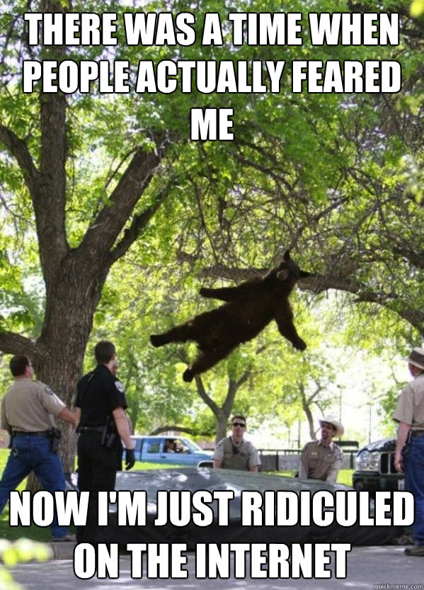 There was a time when people actually feared me now I'm just ridiculed on the internet  i am a falling bear