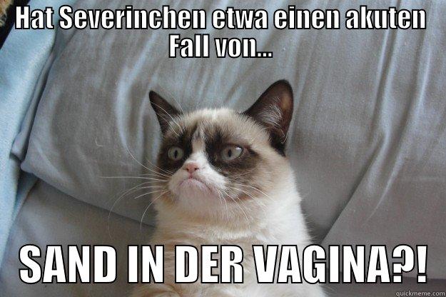 HAT SEVERINCHEN ETWA EINEN AKUTEN FALL VON...    SAND IN DER VAGINA?!  Grumpy Cat