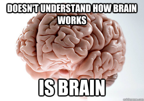 DOESN'T UNDERSTAND HOW BRAIN WORKS IS BRAIN - DOESN'T UNDERSTAND HOW BRAIN WORKS IS BRAIN  Scumbag Brain