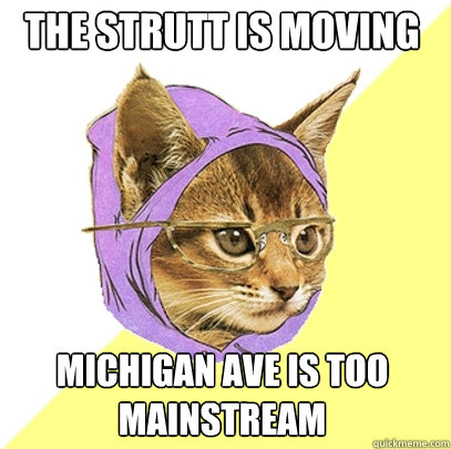 the strutt is moving michigan ave is too mainstream  Hipster Kitty