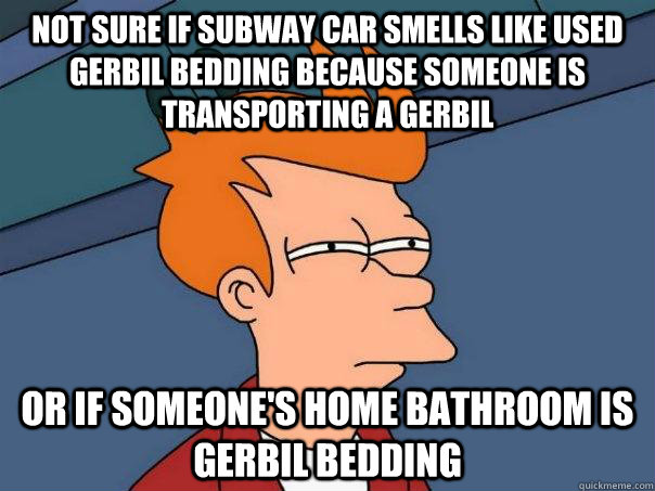 Not sure if subway car smells like used gerbil bedding because someone is transporting a gerbil or if someone's home bathroom is gerbil bedding  Futurama Fry