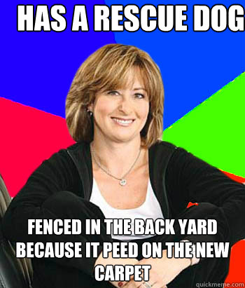 has a rescue dog fenced in the back yard because it peed on the new carpet  Sheltering Suburban Mom