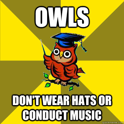 Owls Don't wear hats or conduct music  Observational Owl