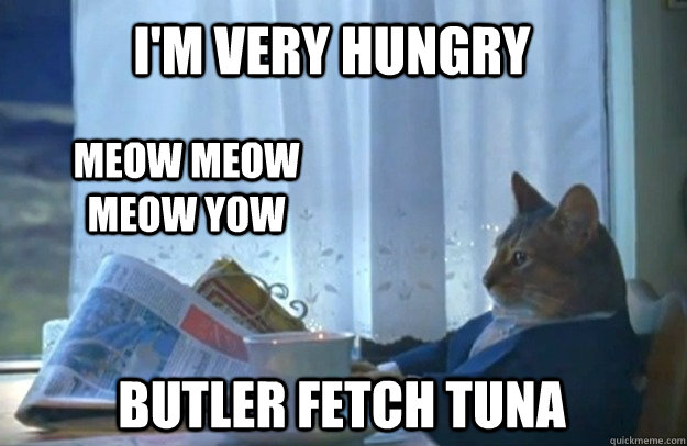 I'm very hungry meow meow meow yow butler fetch tuna - I'm very hungry meow meow meow yow butler fetch tuna  Sophisticated Cat