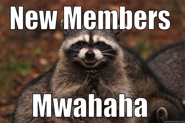 NEW MEMBERS MWAHAHA Evil Plotting Raccoon