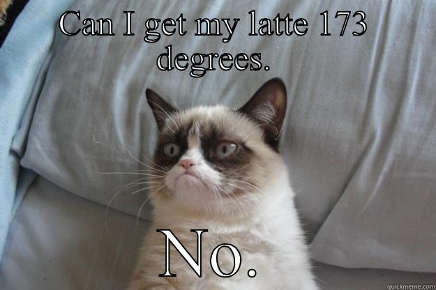 CAN I GET MY LATTE 173 DEGREES. NO. Grumpy Cat