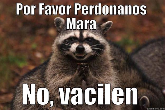 POR FAVOR PERDONANOS MARA NO, VACILEN Evil Plotting Raccoon