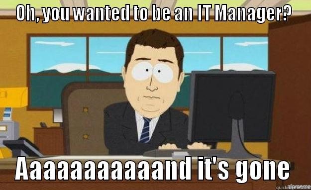 OH, YOU WANTED TO BE AN IT MANAGER? AAAAAAAAAAAND IT'S GONE aaaand its gone