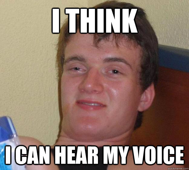 I Think i can hear my voice - I Think i can hear my voice  10 Guy