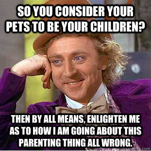 So you consider your pets to be your children? Then by all means, enlighten me as to how I am going about this parenting thing all wrong.  Condescending Wonka