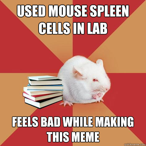 USED MOUSE SPLEEN CELLS IN LAB FEELS BAD WHILE MAKING THIS MEME - USED MOUSE SPLEEN CELLS IN LAB FEELS BAD WHILE MAKING THIS MEME  Science Major Mouse