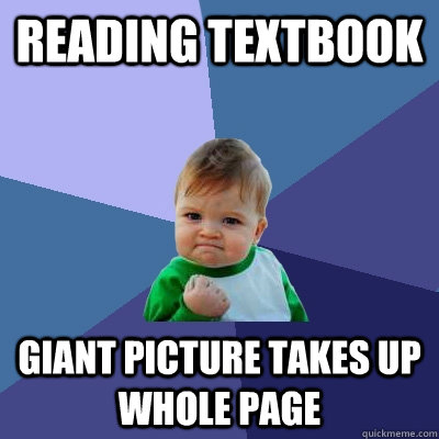 Reading textbook Giant picture takes up whole page  Success Kid