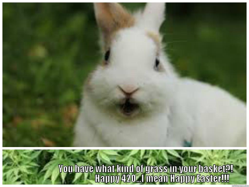 Happy 420...I mean Happy Easter!!! -                            YOU HAVE WHAT KIND OF GRASS IN YOUR BASKET?!                                              HAPPY 420...I MEAN HAPPY EASTER!!! Misc