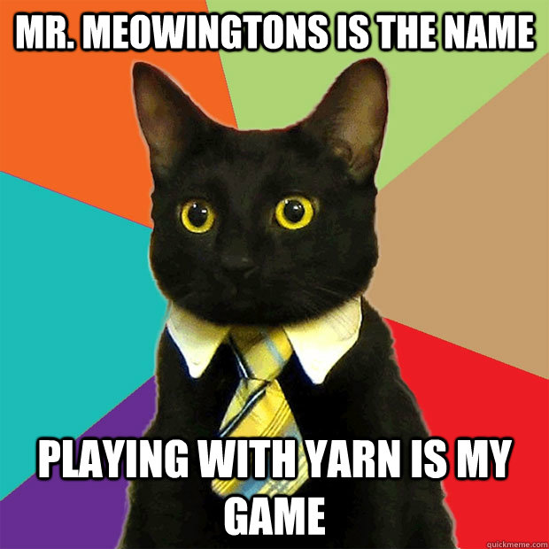 mr. meowingtons is the name playing with yarn is my game  Business Cat