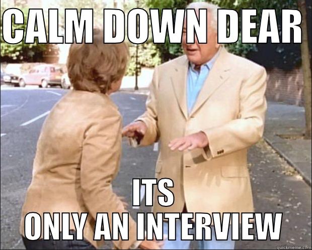 Calm Down Dear - CALM DOWN DEAR  ITS ONLY AN INTERVIEW Misc