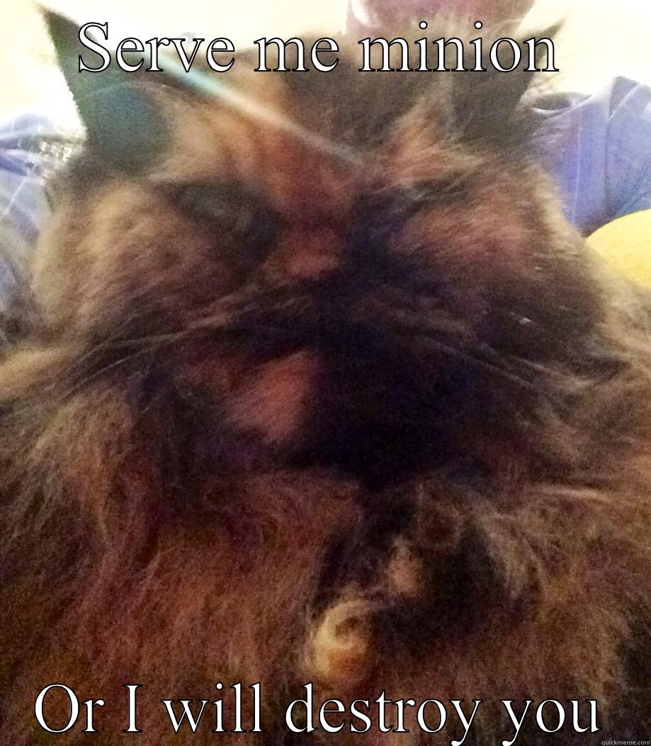 Overlord cat - SERVE ME MINION OR I WILL DESTROY YOU Misc