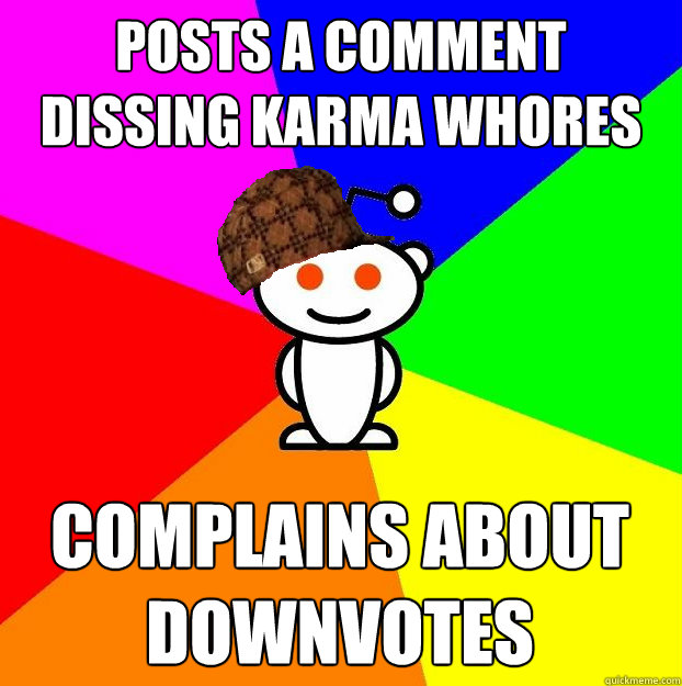 Posts a comment dissing karma whores complains about downvotes  Scumbag Redditor