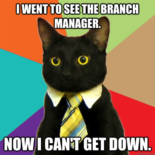 I went to see the branch manager. Now I can't get down.  Business Cat