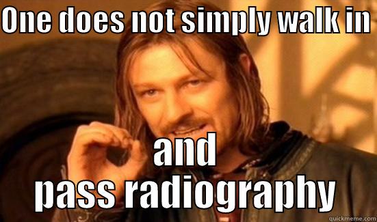 ONE DOES NOT SIMPLY WALK IN  AND PASS RADIOGRAPHY Boromir