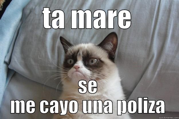 TA MARE SE ME CAYO UNA POLIZA Grumpy Cat