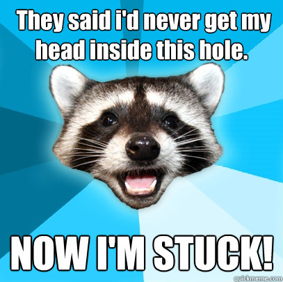  They said i'd never get my head inside this hole.   NOW I'M STUCK!  Lame Pun Coon