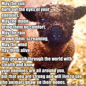 May the sun 
burn out the eyes of your enemies,
May the moon 
bring them no comfort,
May the rain 
drown them, screaming,
May the wind 
flay them alive. May you walk through the world with stealth and know 
your enemies are all around you, 
but that you a - May the sun 
burn out the eyes of your enemies,
May the moon 
bring them no comfort,
May the rain 
drown them, screaming,
May the wind 
flay them alive. May you walk through the world with stealth and know 
your enemies are all around you, 
but that you a  Angry sheep